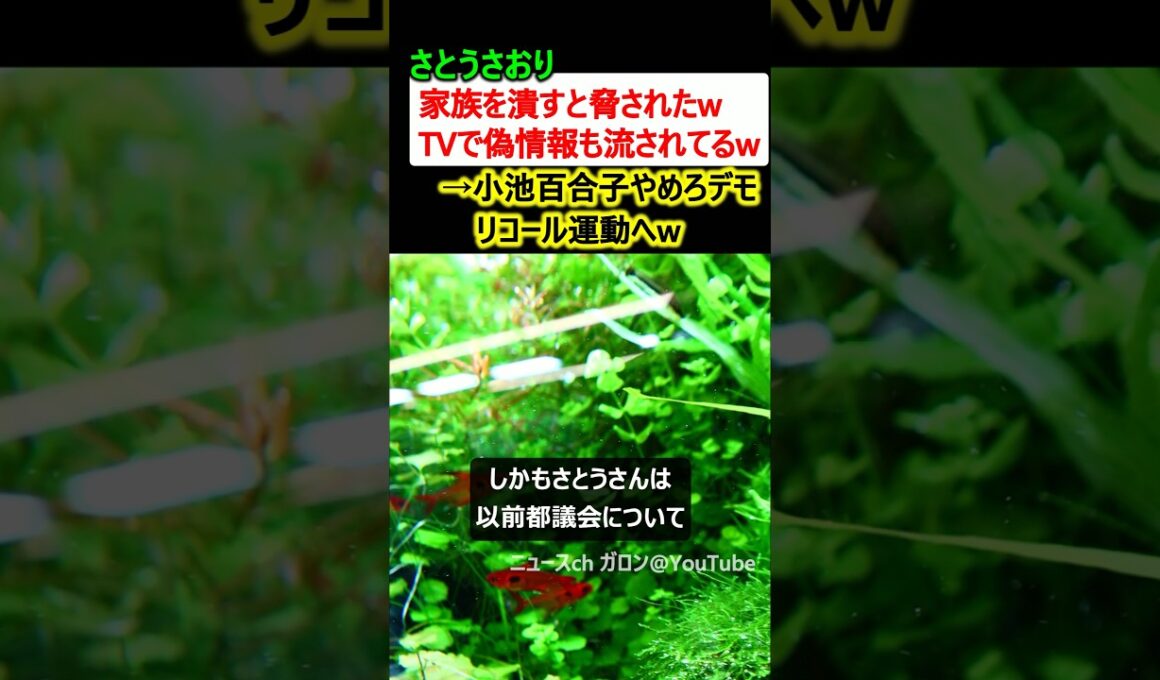 さとうさおり「家族を潰すと脅された、TVでは偽情報も…」→小池百合子やめろデモへw