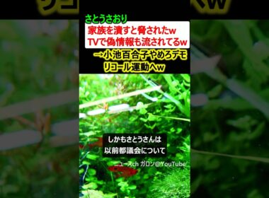さとうさおり「家族を潰すと脅された、TVでは偽情報も…」→小池百合子やめろデモへw