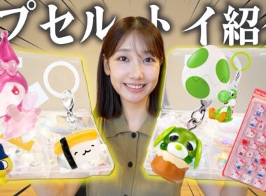 【紹介】どハマりしているカプセルトイのコレクションを見せつけるだけの自己満動画です