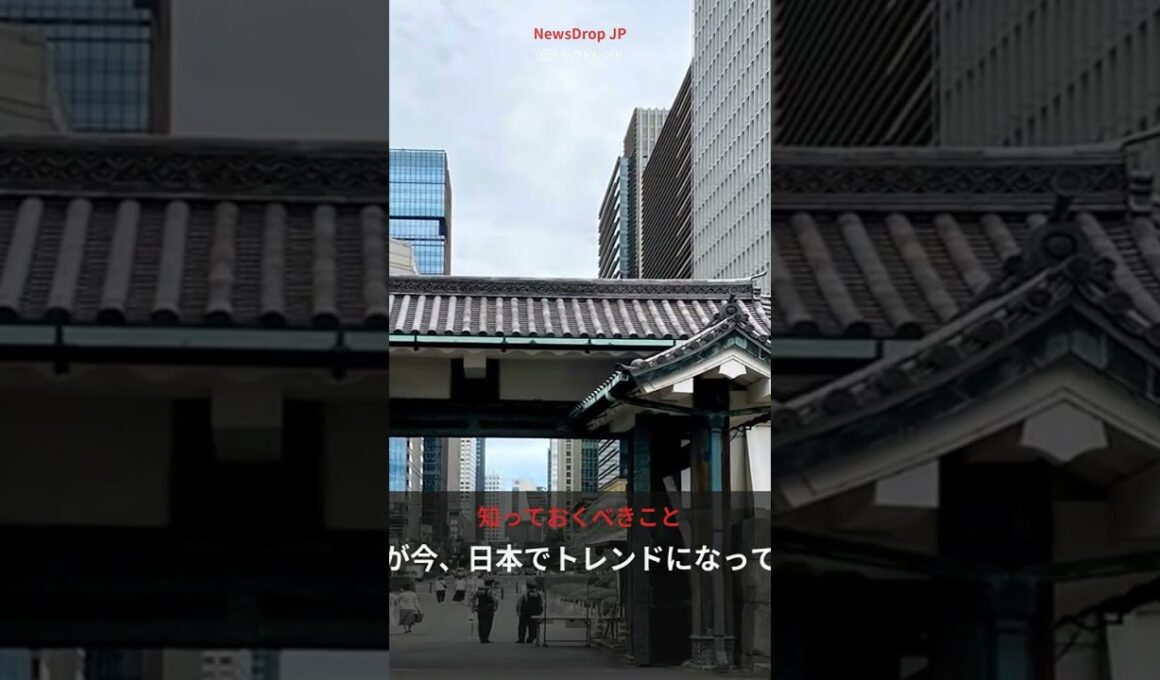 永島優美 #Shorts #August2026 #日本ニュース