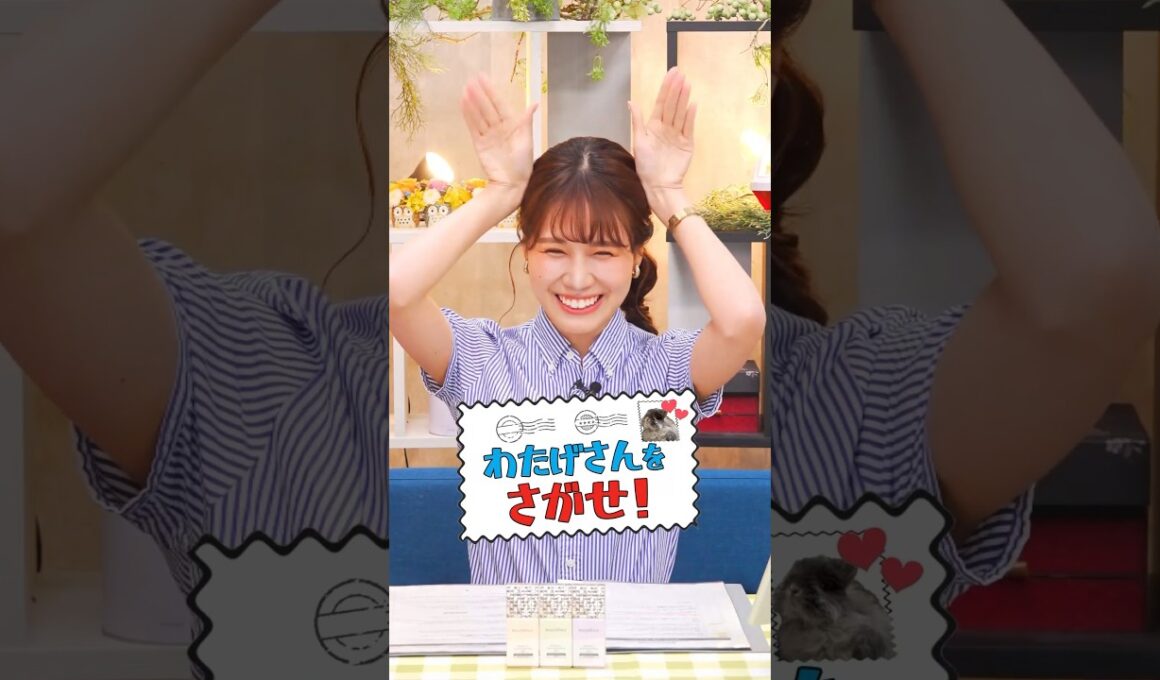 わたげさんが好きすぎて事故ってしまう みーちゃん【戸北美月】#auPAYマーケット #ライブTV #ウェザーニュース #戸北美月 #みーちゃん #shorts