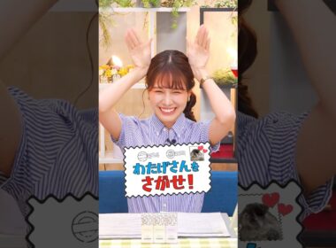 わたげさんが好きすぎて事故ってしまう みーちゃん【戸北美月】#auPAYマーケット #ライブTV #ウェザーニュース #戸北美月 #みーちゃん #shorts