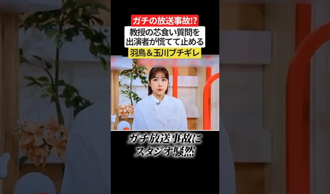 【放送事故】モーニングショーで教授が禁断の質問…羽鳥＆玉川がガチで止めに入る