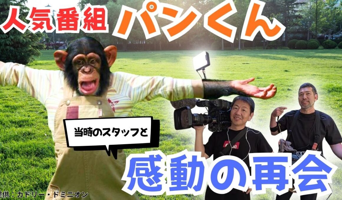 【パンくんは今･･･】人気番組に出演していた天才チンパンジー「パンくん」に会いに行ってきた！当時の番組スタッフとの感動の再会 宮沢園長との新たな挑戦も