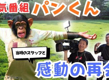 【パンくんは今･･･】人気番組に出演していた天才チンパンジー「パンくん」に会いに行ってきた！当時の番組スタッフとの感動の再会 宮沢園長との新たな挑戦も