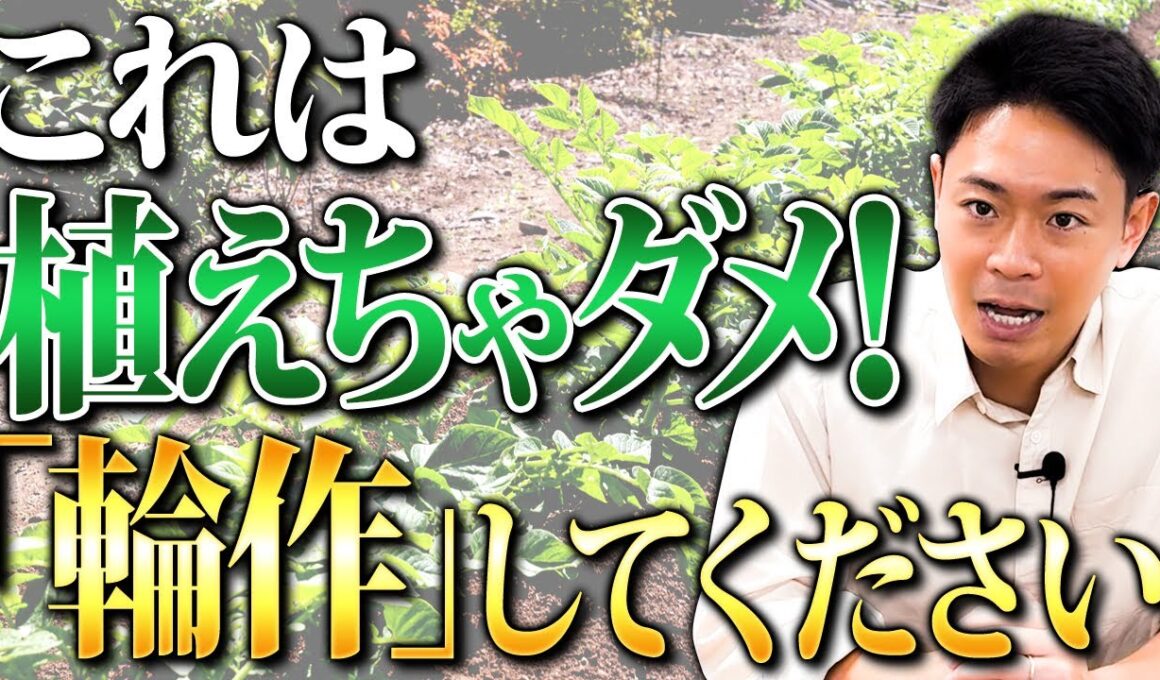 連作障害なんて存在しない？起きるメカニズムを土のプロが解説します。【家庭菜園 土作り ガーデニング 連作障害】