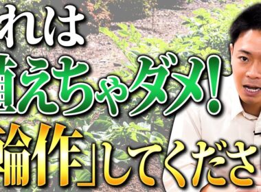 連作障害なんて存在しない？起きるメカニズムを土のプロが解説します。【家庭菜園 土作り ガーデニング 連作障害】