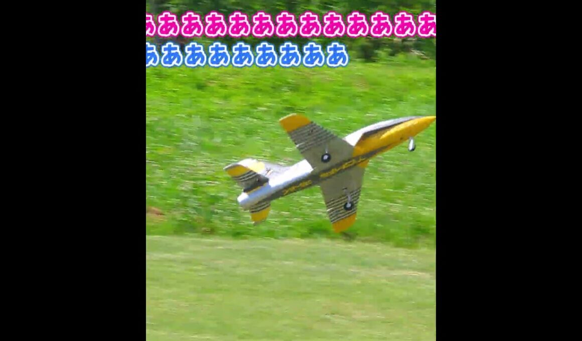 着陸に失敗するFMS Futura 2人目 #ラジコン飛行機