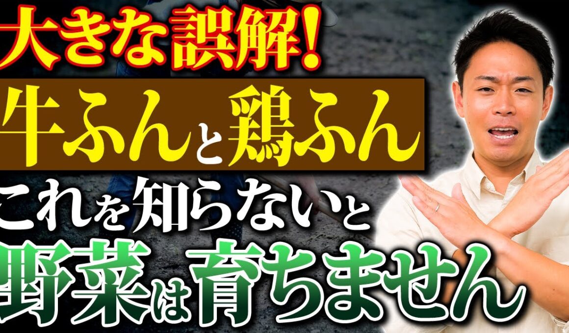 牛ふんと鶏ふん、あなたは正しく使い分けてる？土作りと野菜作りの秘訣！【家庭菜園 土作り ガーデニング 牛糞 鶏糞】