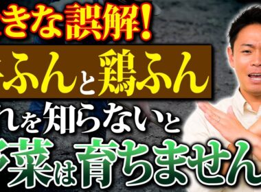 牛ふんと鶏ふん、あなたは正しく使い分けてる？土作りと野菜作りの秘訣！【家庭菜園 土作り ガーデニング 牛糞 鶏糞】