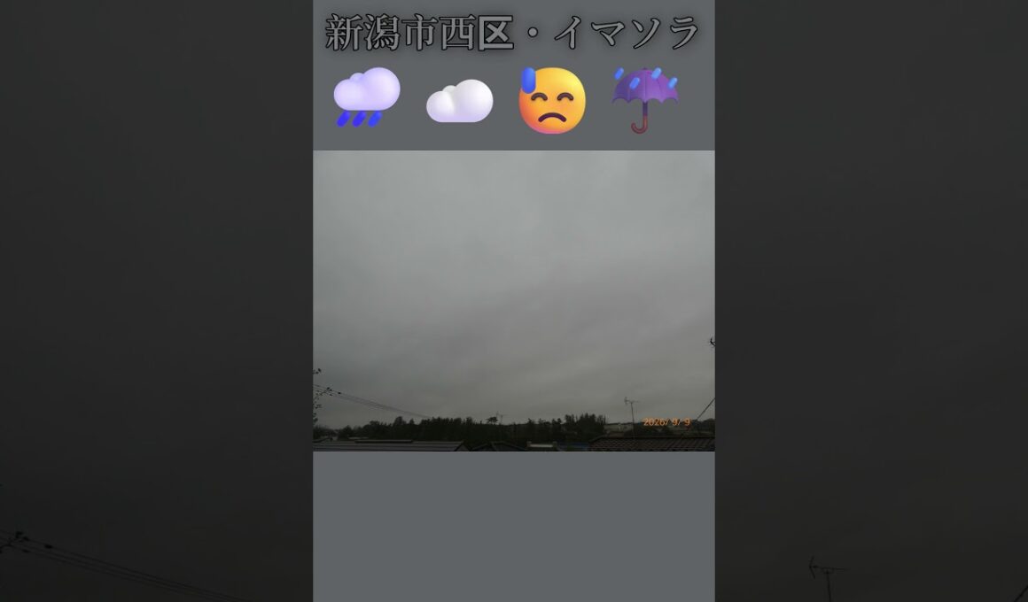 新潟市西区・🌧️☁️😓☔イマソラ #9月9日 #水曜日 #新潟県 #新潟市 #新潟市西区 #イマソラ #今朝の空
