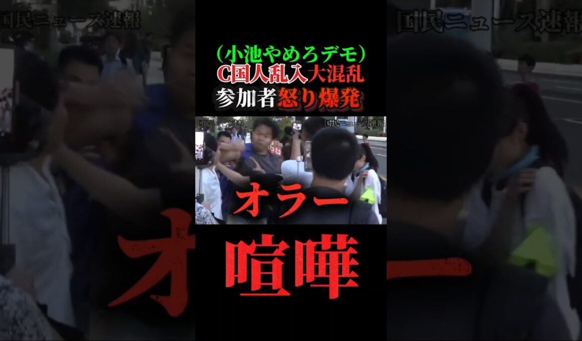 （喧嘩）都庁前で小池百合子やめろデモの最中に外国人が乱入で大混乱！！