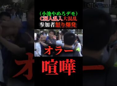 （喧嘩）都庁前で小池百合子やめろデモの最中に外国人が乱入で大混乱！！