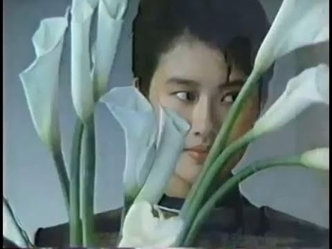 マドラス　CM　1988　岡田真澄