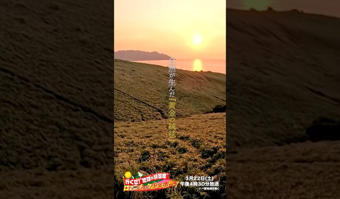 第1弾で放送された #田中史朗 出演の『黄金の絨毯』の映像を特別にお届け🎁『ロマンチック少年ボーイ』3/22(土)