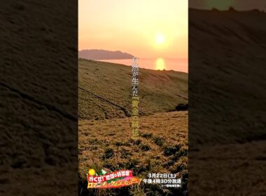 第1弾で放送された #田中史朗 出演の『黄金の絨毯』の映像を特別にお届け🎁『ロマンチック少年ボーイ』3/22(土)