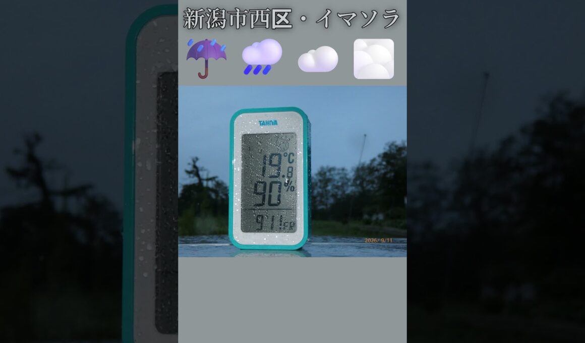 新潟市西区・☔🌧️☁️🌫️イマソラ #9月11日 #金曜日 #新潟県 #新潟市 #新潟市西区 #イマソラ #今朝の空 #ラジオ体操