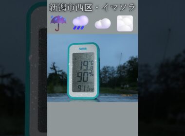 新潟市西区・☔🌧️☁️🌫️イマソラ #9月11日 #金曜日 #新潟県 #新潟市 #新潟市西区 #イマソラ #今朝の空 #ラジオ体操