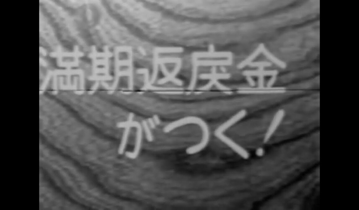 日動火災 タマル保険 CM 山本直純(1970年)