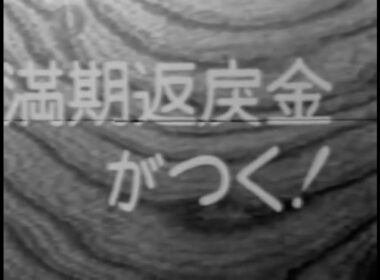 日動火災 タマル保険 CM 山本直純(1970年)