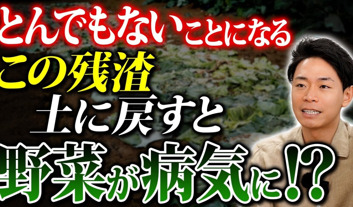 翌年の野菜をダメにする残渣処理3選！収穫後のNG行為を徹底解説【家庭菜園 カルスNC-R 病害虫 土づくり】
