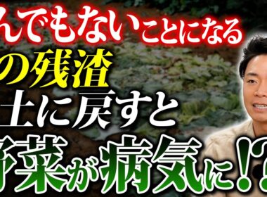 翌年の野菜をダメにする残渣処理3選！収穫後のNG行為を徹底解説【家庭菜園 カルスNC-R 病害虫 土づくり】