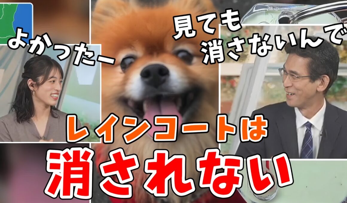 【松本真央・山口剛央】私服・おじジャンはダメだけどレインコート姿は見られてもOKな山口さん【ウェザーニュース切り抜き】