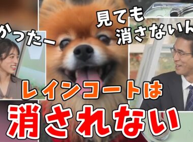 【松本真央・山口剛央】私服・おじジャンはダメだけどレインコート姿は見られてもOKな山口さん【ウェザーニュース切り抜き】