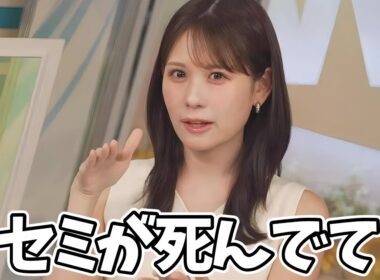 結構えげつない話を笑顔でしてくれるお天気お姉さん【戸北美月】