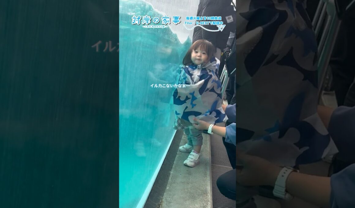 『#対岸の家事』🧹メイキング📹 水族館の花奈ちゃんと美桜ちゃん🐬#永井花奈 #五十嵐美桜