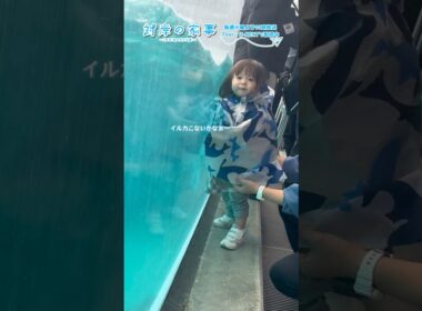 『#対岸の家事』🧹メイキング📹 水族館の花奈ちゃんと美桜ちゃん🐬#永井花奈 #五十嵐美桜