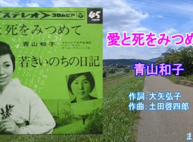 愛と死をみつめて★青山和子