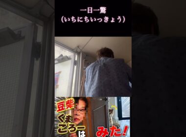 #くまころー飼い主#柴犬 #一日一驚