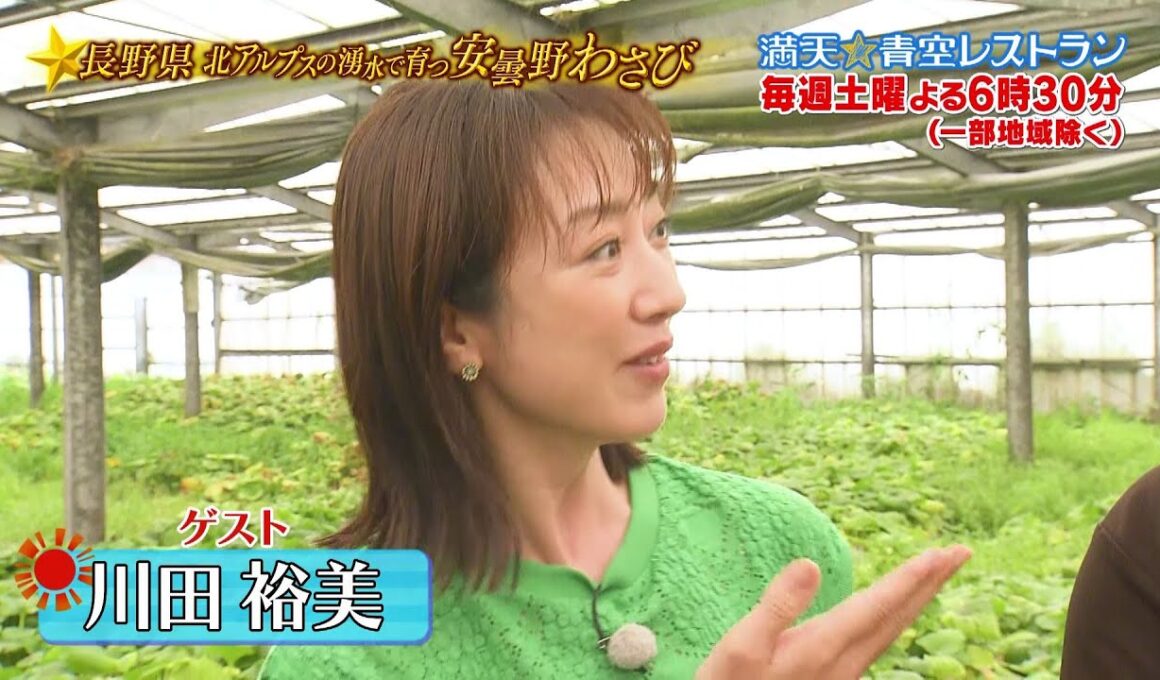 満天☆青空レストラン　9/19放送「長野県　安曇野わさび」