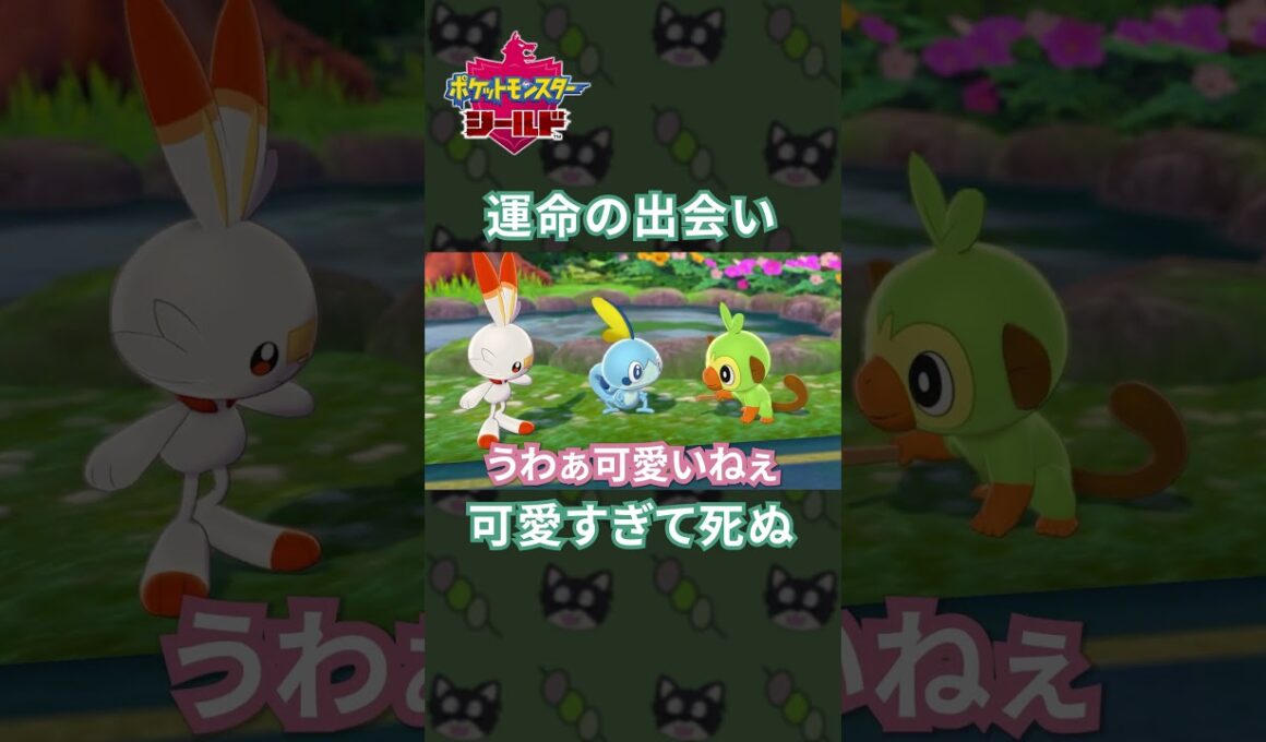 このメッソン、可愛すぎてズルい…！[ポケモン剣盾]#shorts