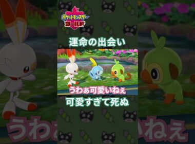 このメッソン、可愛すぎてズルい…！[ポケモン剣盾]#shorts