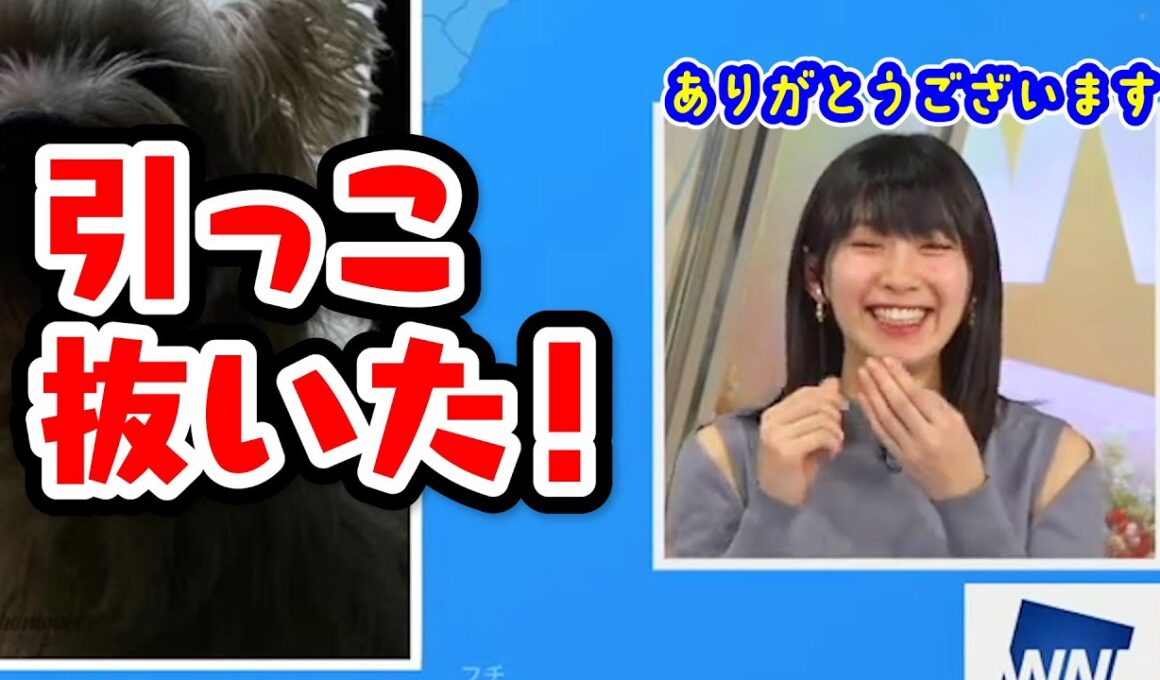 【檜山沙耶】さや勢を引っこ抜いてしまいました〈WeatherNewsLive〉2023.2.6evening