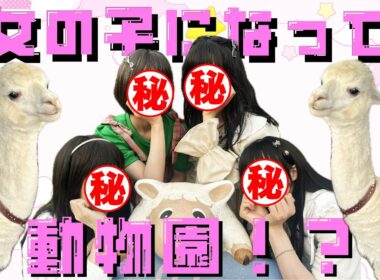 【1000年に一度の美女爆誕!?】女の子になって動物園に行ってみた！！！