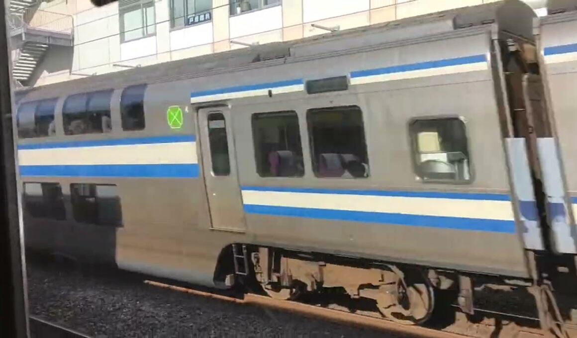 発車寸前に120km/hで追い抜く 総武線下総中山駅を高速通過する総武快速線E217系快速千葉行き