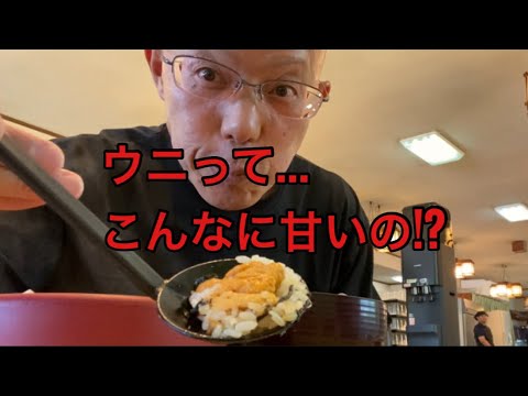 【柴犬飼い主55歳】人生初ウニ丼！寺泊漁港で贅沢デビュー！