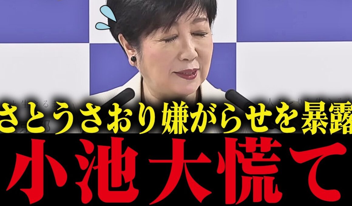 【小池百合子】※さとうさおりが小池都政の姑息な嫌がらせを暴露！議会での姑息な手段がバレて小池大慌て...!!【小池都知事 都議会 カイロ大学 学歴詐称疑惑】