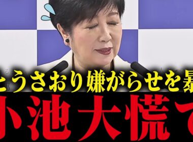 【小池百合子】※さとうさおりが小池都政の姑息な嫌がらせを暴露！議会での姑息な手段がバレて小池大慌て...!!【小池都知事 都議会 カイロ大学 学歴詐称疑惑】
