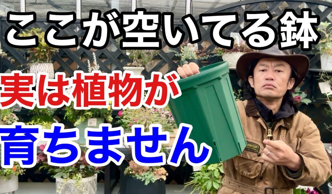 【残念なお知らせ】植物が育つスリット鉢使い方間違えてます。　　【カーメン君】【園芸】【スリットポット】【兼弥産業】