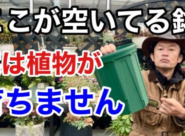 【残念なお知らせ】植物が育つスリット鉢使い方間違えてます。　　【カーメン君】【園芸】【スリットポット】【兼弥産業】