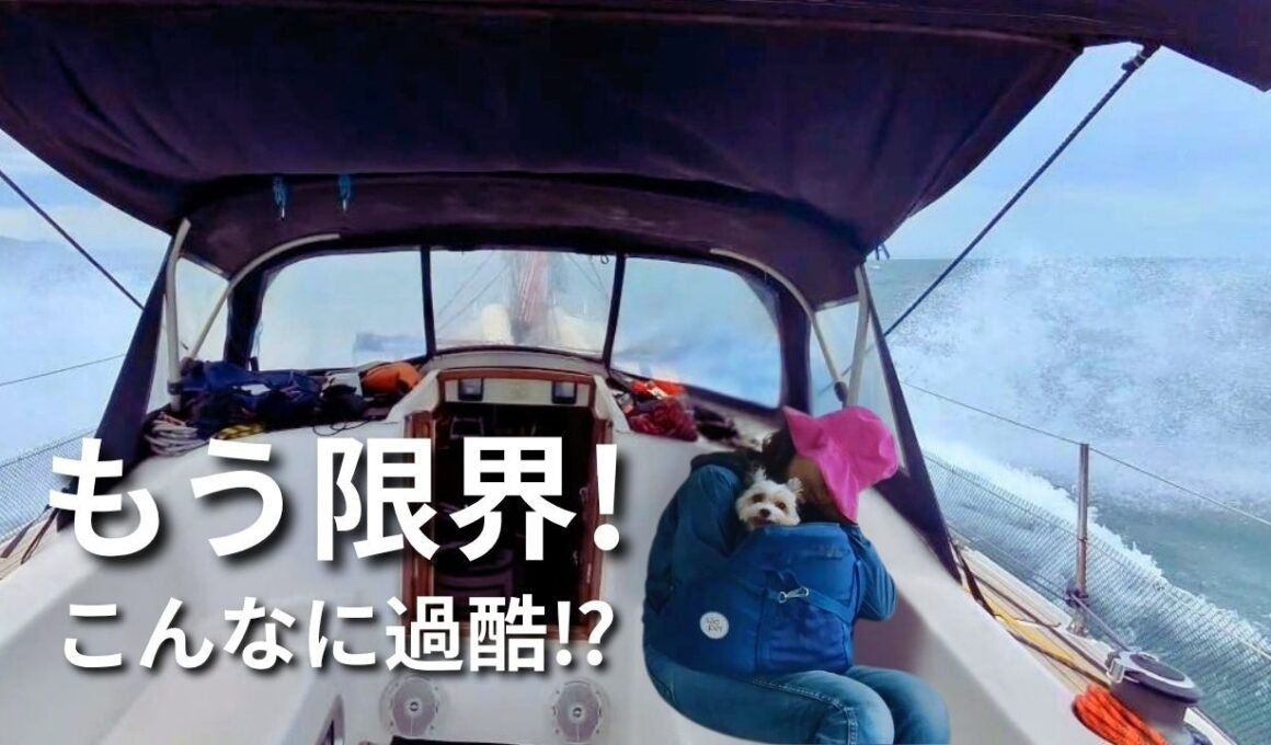 【ヨット生活】悪天候から逃げて安全な海へ！｜出港前の準備と過酷すぎた航海｜まさかの出会いと嘘みたいに平和な海