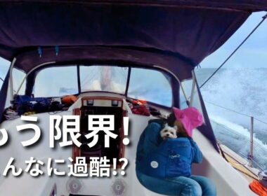 【ヨット生活】悪天候から逃げて安全な海へ！｜出港前の準備と過酷すぎた航海｜まさかの出会いと嘘みたいに平和な海