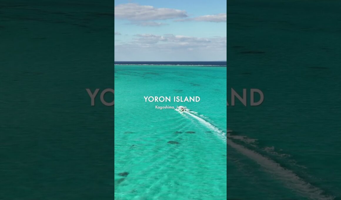 【与論島🏝️】離島好きの私がリピートするオススメの島🌺冬でもこの絶景！😍✨メイン動画のVlogも観てねっ🥰！ #離島 #与論島 #ヨロン島 #国内旅行 #shortsvideo #旅行 #travel