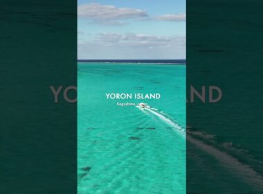 【与論島🏝️】離島好きの私がリピートするオススメの島🌺冬でもこの絶景！😍✨メイン動画のVlogも観てねっ🥰！ #離島 #与論島 #ヨロン島 #国内旅行 #shortsvideo #旅行 #travel