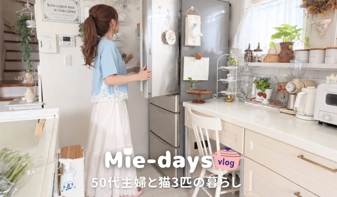 294.今週は朝4時起き｜焦らないための前日の過ごし方【50代主婦と猫3匹の暮らし】猫に癒されながら家を整える