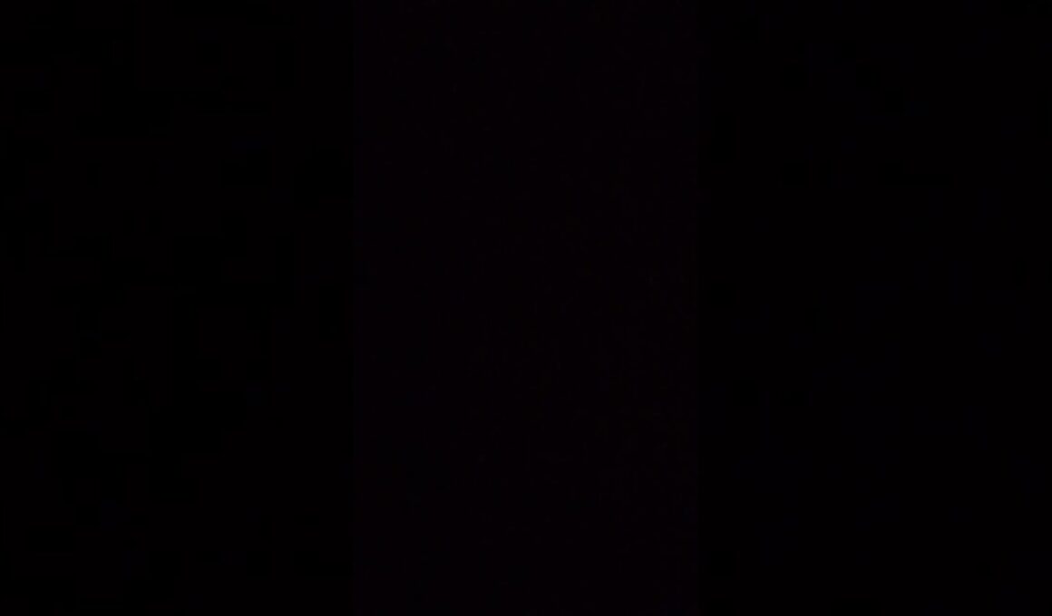2026年1月13日